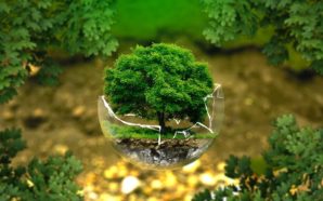 ambiente ecologia adesso