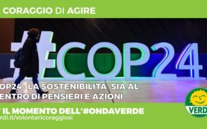 COP24